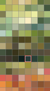color palette